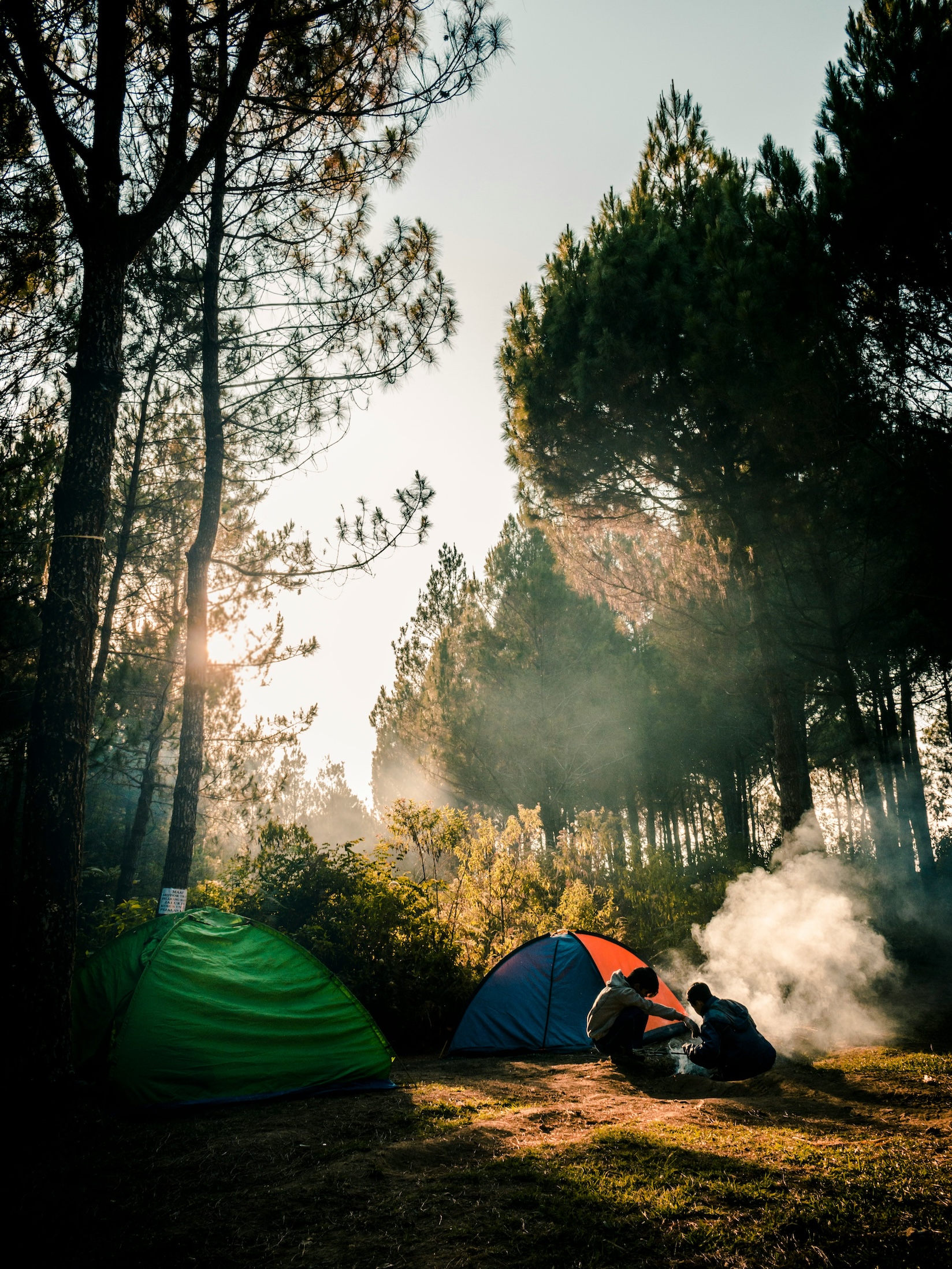 Bivouac en forêt Wild Horizons