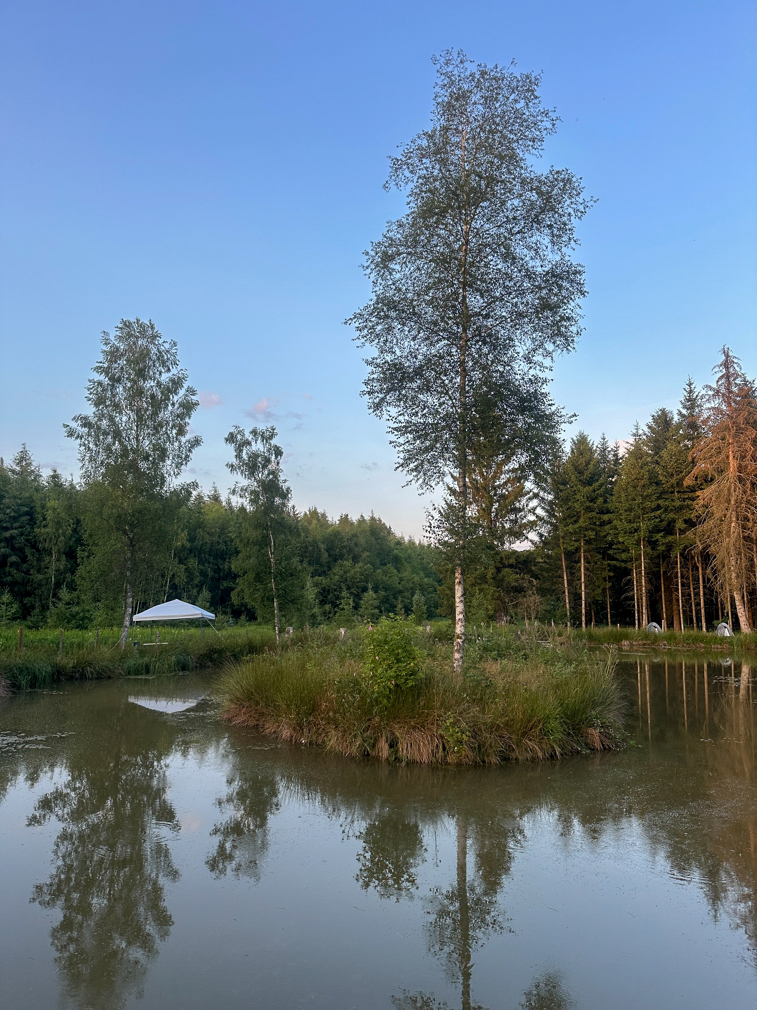 Campement avec tentes en pleine nature à Paliseul