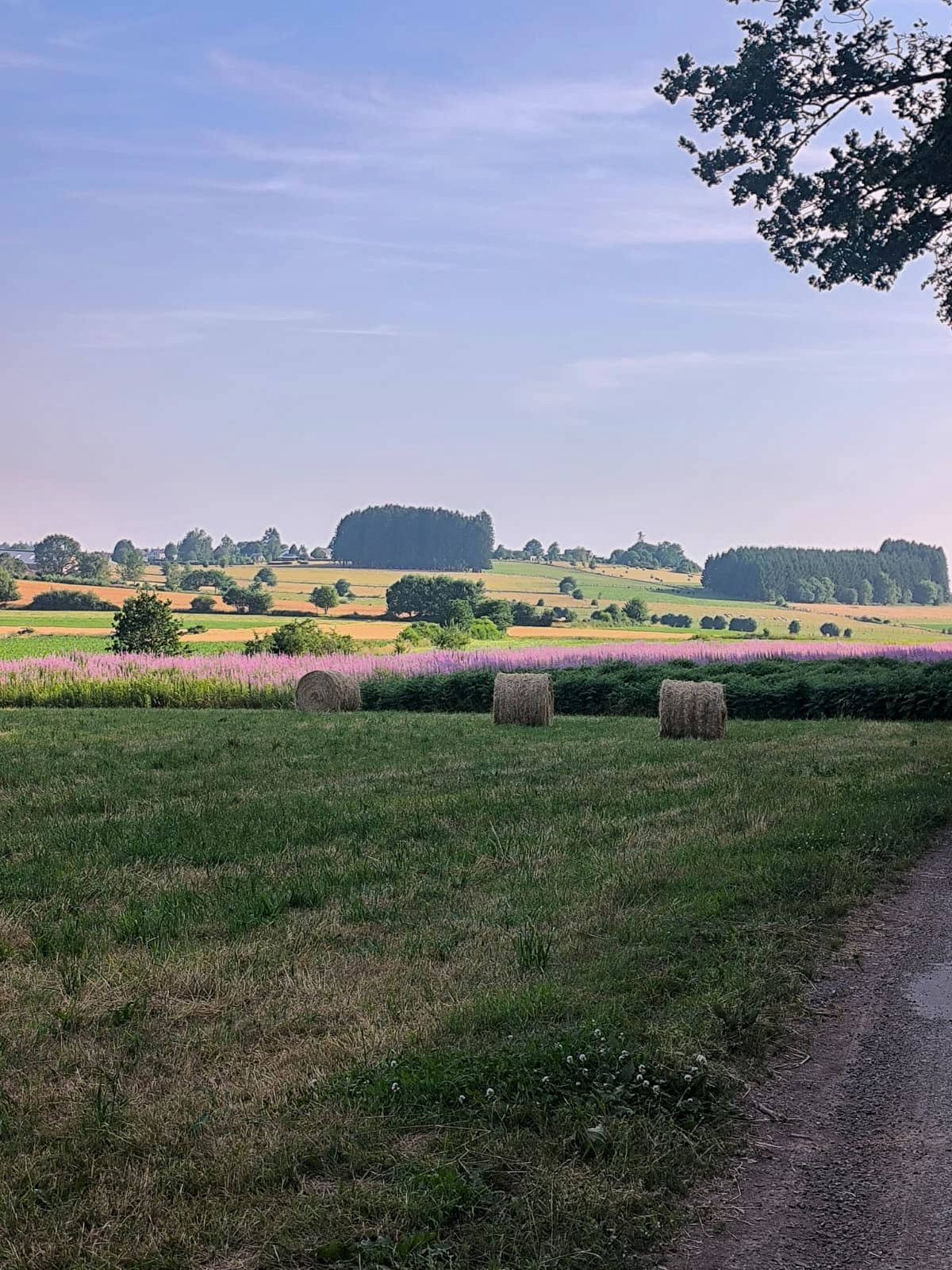 Randonnée en Ardenne pendant le bivouac