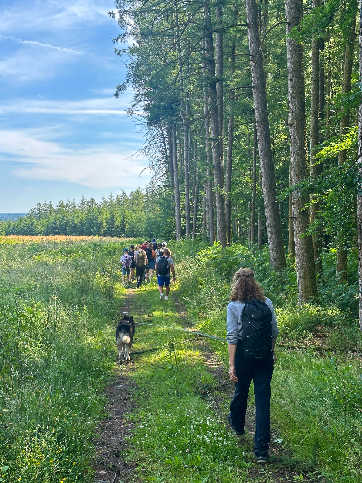 Randonnée en groupe dans les paysages ardennais
