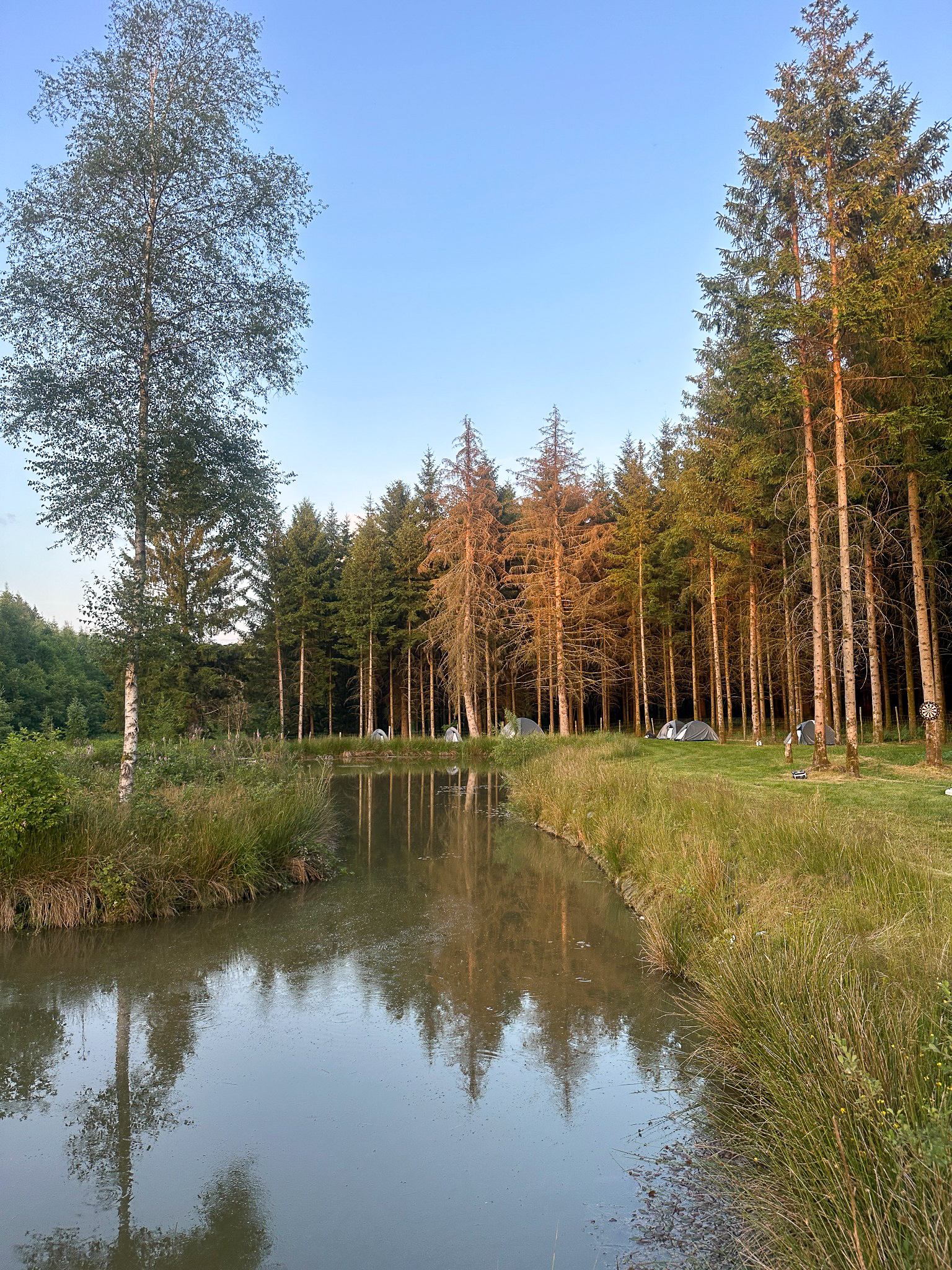 Bivouac en forêt Wild Horizons